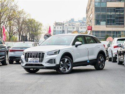 Audi Q2L Petrol Car