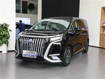 Denza D9 Electric Car