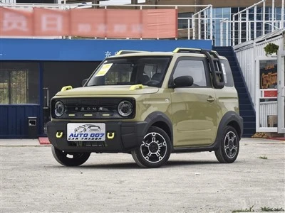Geely Panda Electric Car