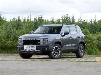Haval Big Dog Petrol Car