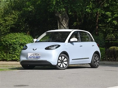 Wuling Binguo Plus Electric Car